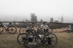HFS_Wilseder_Berg-34