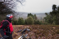 HFS_Wilseder_Berg-36