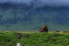 Island-2